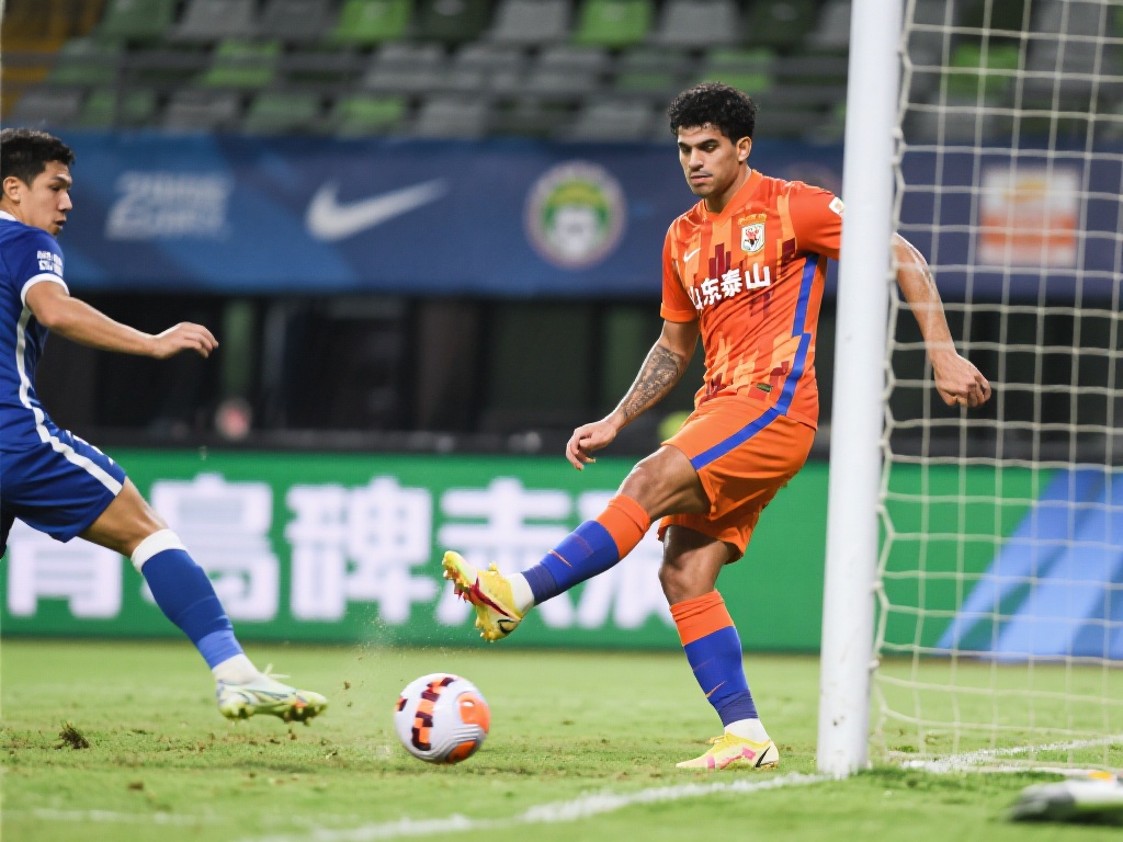 却在正赛中 却在正赛中