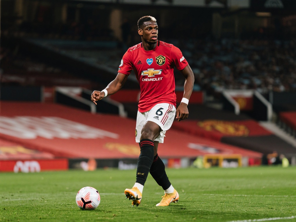 强的塔比洛 强的塔比洛