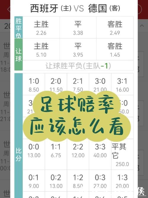 世界杯投注：实时赔率变化解读